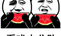 我不是废柴娱乐吃瓜,娱乐吃瓜背后的励志故事