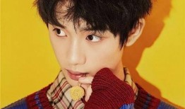 独家爆料丁程鑫视频播放,丁程鑫神秘视频幕后故事，播放量惊人引热议